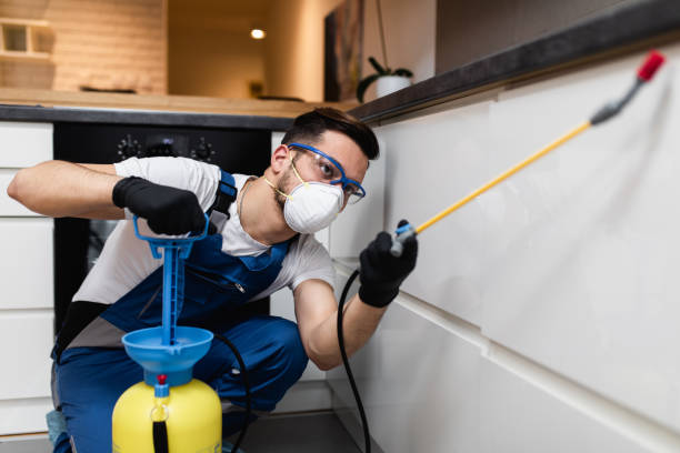 Best Pest Removal Services  in West Covina, CA