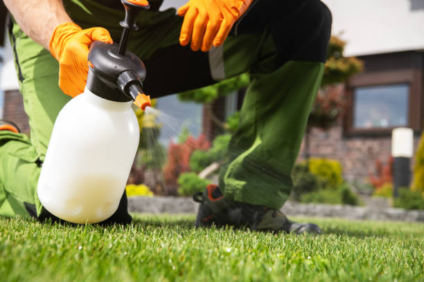 Best Bed Bug Extermination  in West Covina, CA