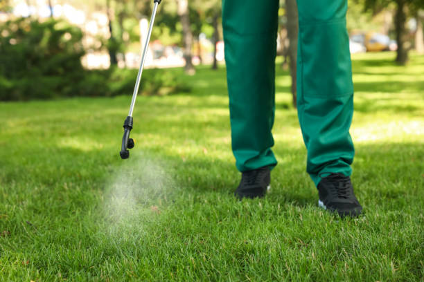 Flea Control Services in West Covina, CA