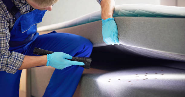 Best Commercial Pest Control Services  in West Covina, CA