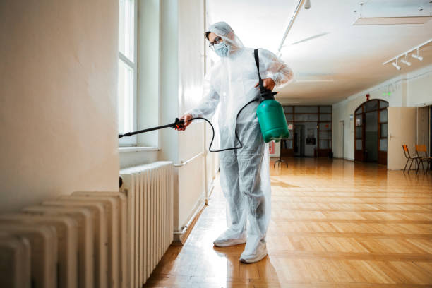 Best Best Pest Control Companies  in West Covina, CA