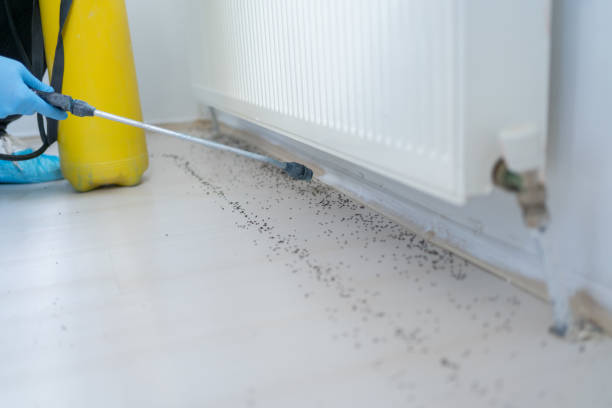 Best Mosquito Control Services  in West Covina, CA