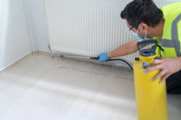 Best Affordable Pest Control Services  in West Covina, CA